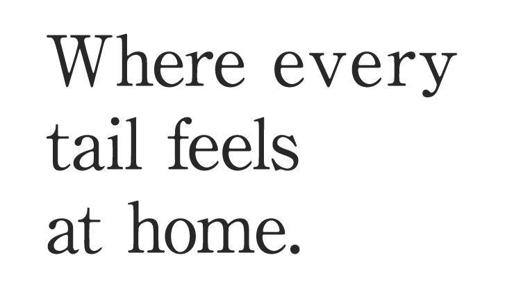 Where every  tail feels  at home.