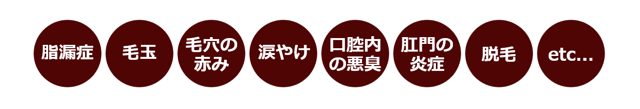 ラテスパ