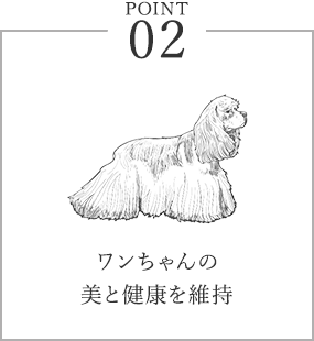 ワンちゃんの美と健康を維持